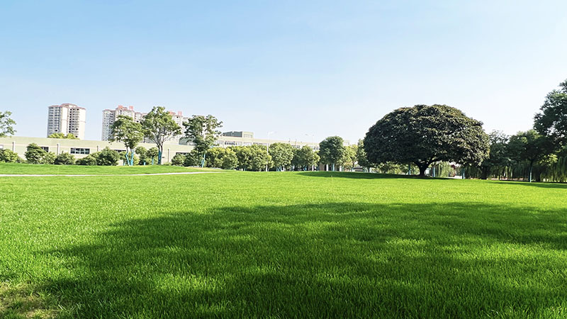 彩乐园官网器工厂